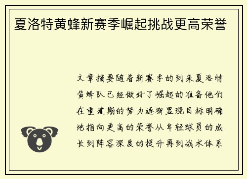 夏洛特黄蜂新赛季崛起挑战更高荣誉 夏洛特黄蜂新赛季崛起挑战更高荣誉